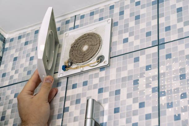 Best Home Air Vent Cleaning  in Homer, IL