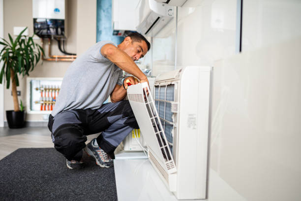 Best Air Duct Cleaning Company Near Me  in Homer, IL