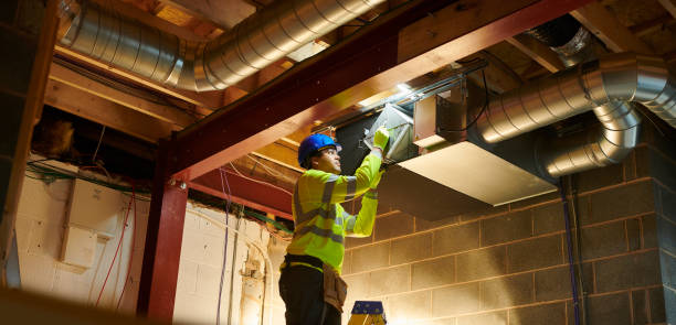 Best Dryer Vent Cleaning Services  in Homer, IL