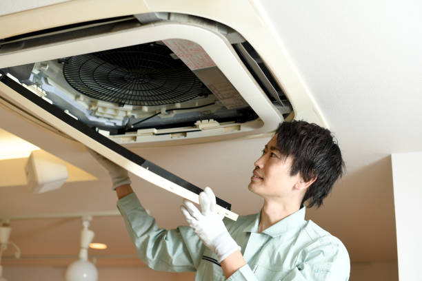 Best Air Duct Mold Removal  in Homer, IL
