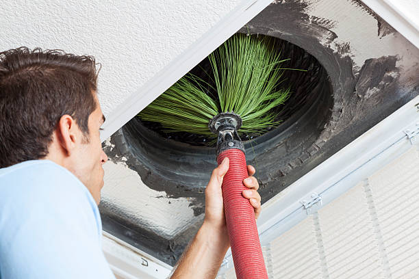 Best HVAC Maintenance and Cleaning  in Homer, IL
