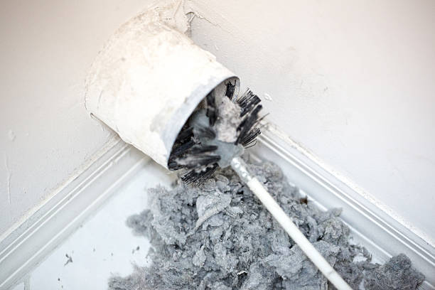 Best Commercial HVAC Duct Cleaning  in Homer, IL